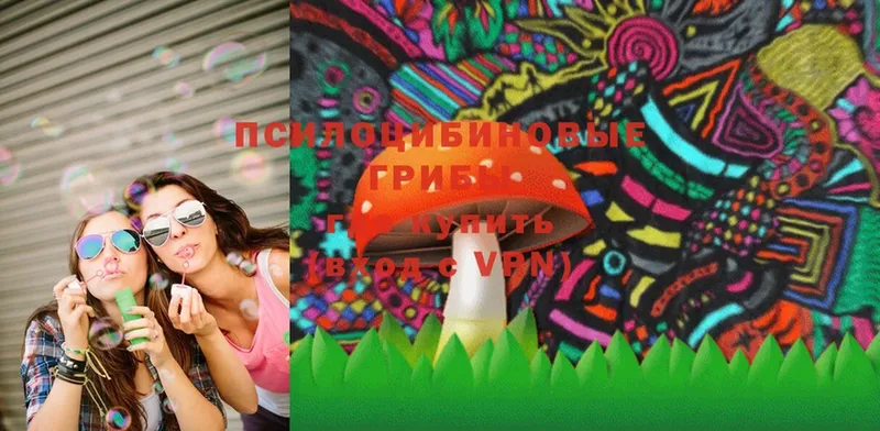 Псилоцибиновые грибы Magic Shrooms  Чайковский 